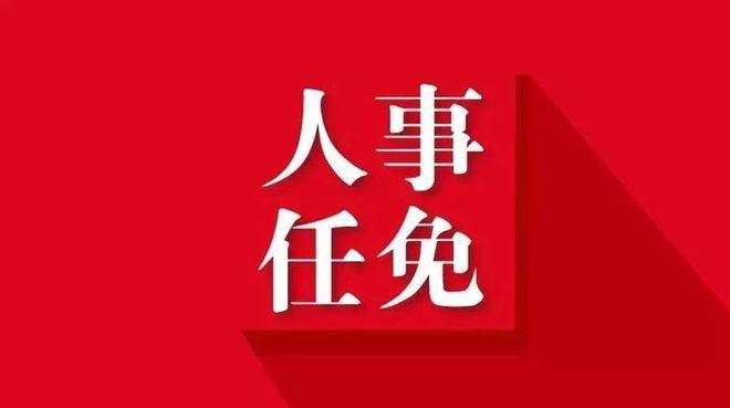 张家口最新人事任免动态概览