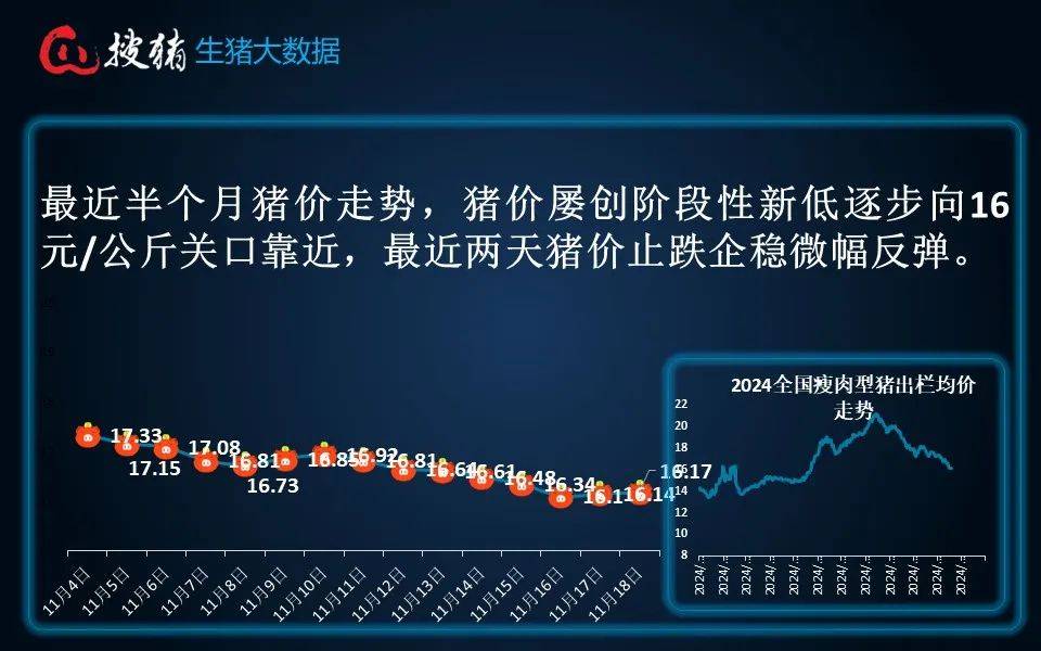 今日生猪价格涨跌走势分析