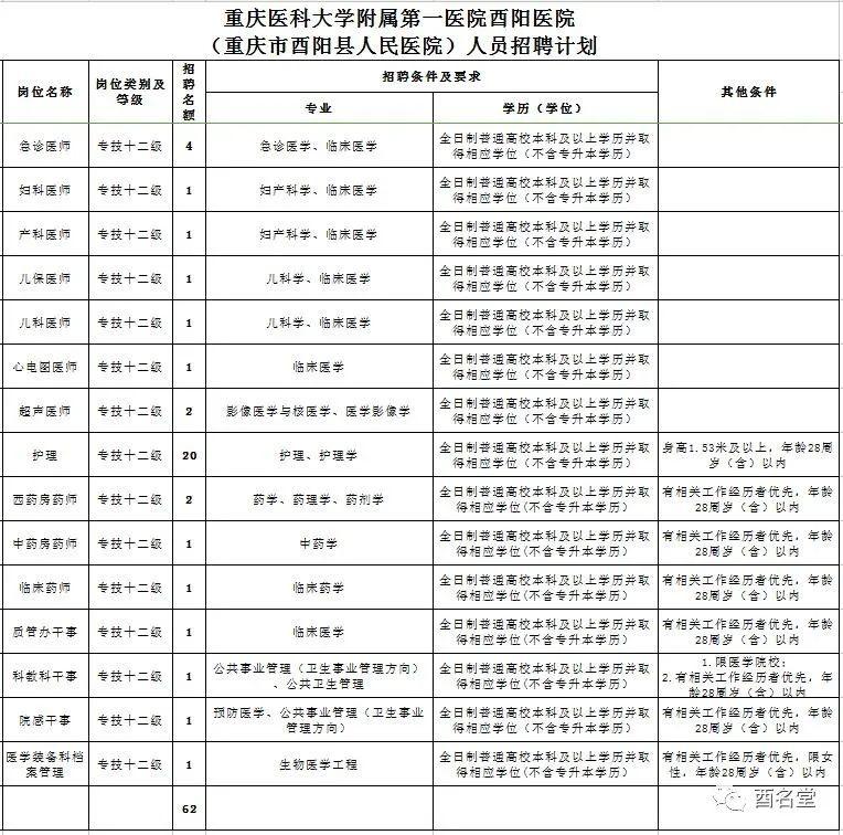 酉阳最新招聘信息总览