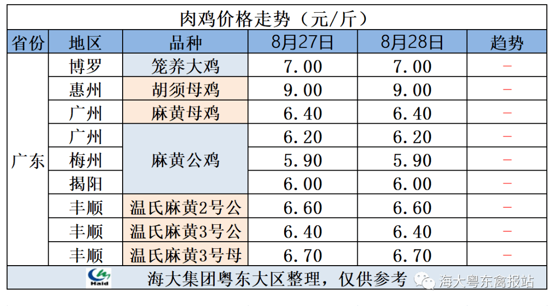 肉鸭价格最新行情与市场动态深度解析