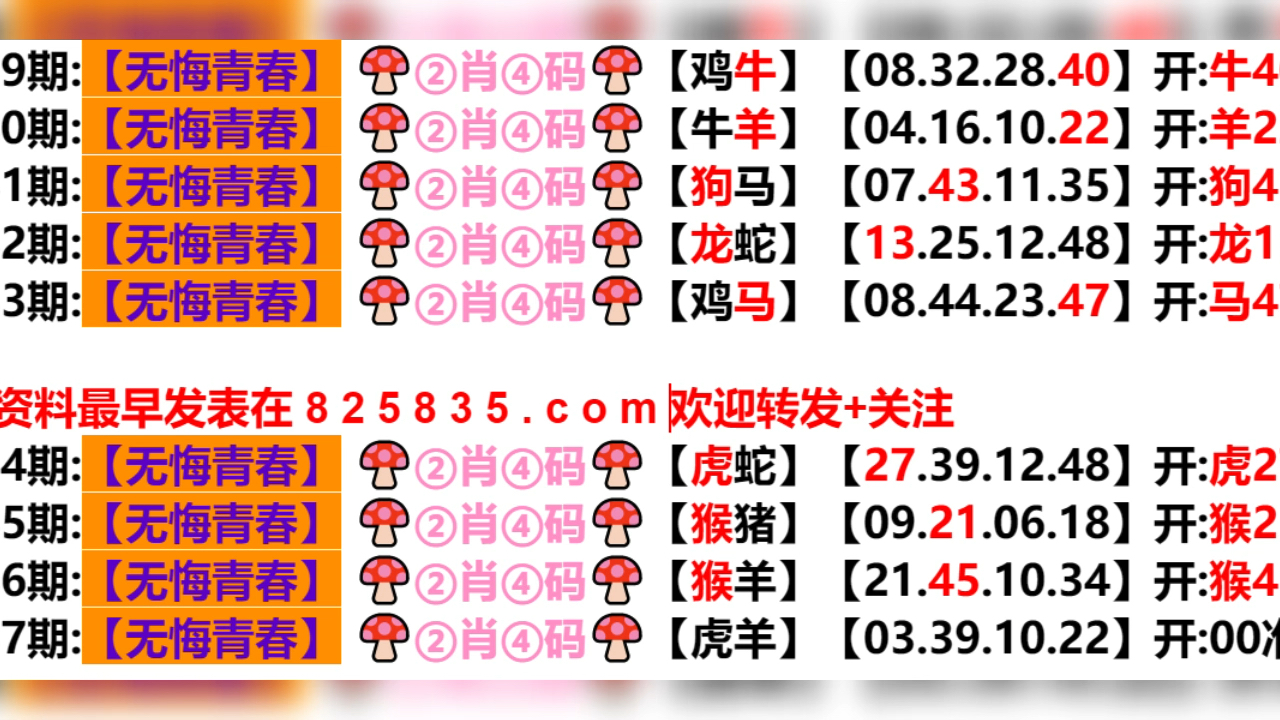 2024新奥门天天开好彩大全85期,广泛的解释落实支持计划_XR10.121