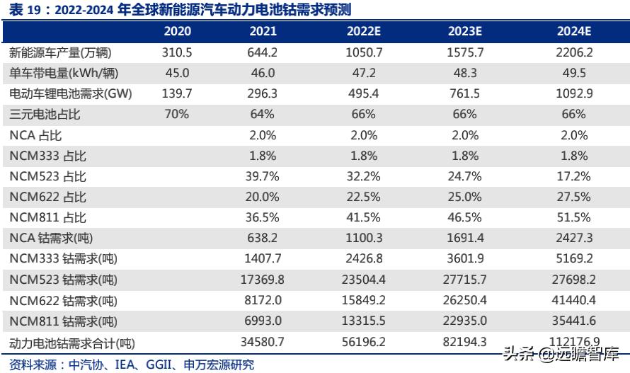 2024年天天开好彩资料,最新解答解析说明_9DM88.811