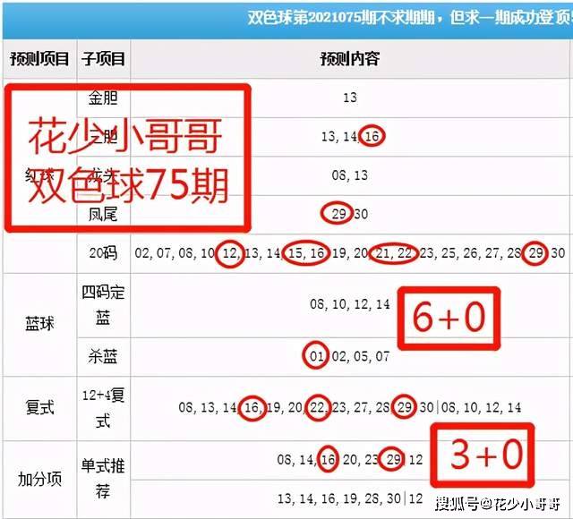 白小姐今晚特马期期准六,动态解析词汇_7DM80.882