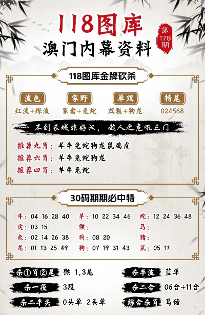 澳门今晚必开一肖1四不像,功能性操作方案制定_户外版2.642