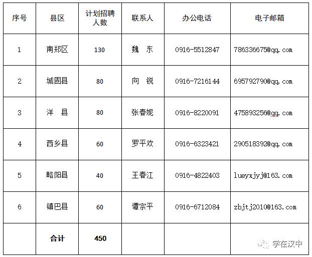 洋县招聘网最新招聘动态深度解析及解读