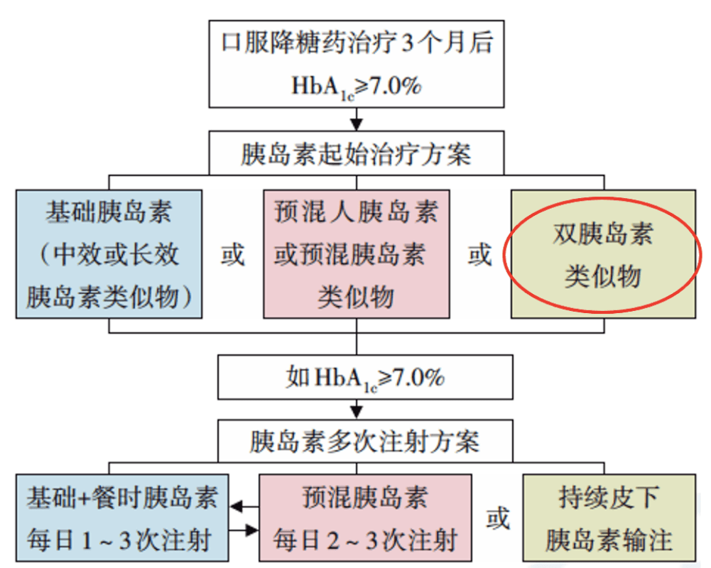 2024年新澳门免费资料大全｜全面解读说明