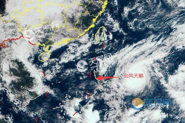 台风天鸽最新动态更新，今日消息汇总