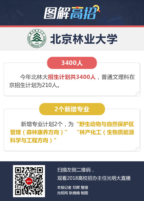 北林转专业最新政策解析及指南