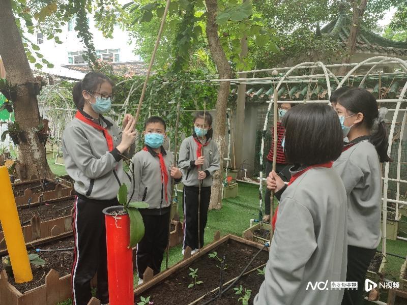 广州美食之都的煮饭师招聘热潮，探寻厨艺岗位新动态