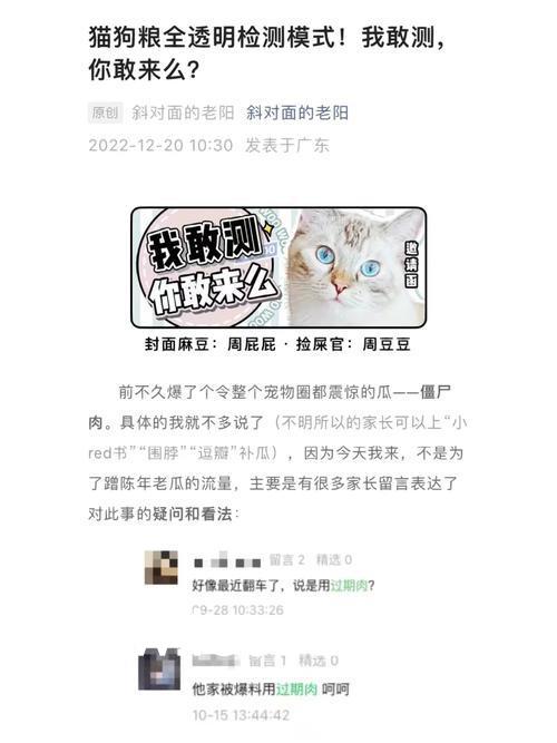 李丽莎最新视频迅雷，数字魅力之星的探索之旅