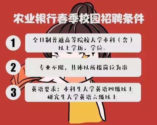 四大最新招聘条件深度解读与解析