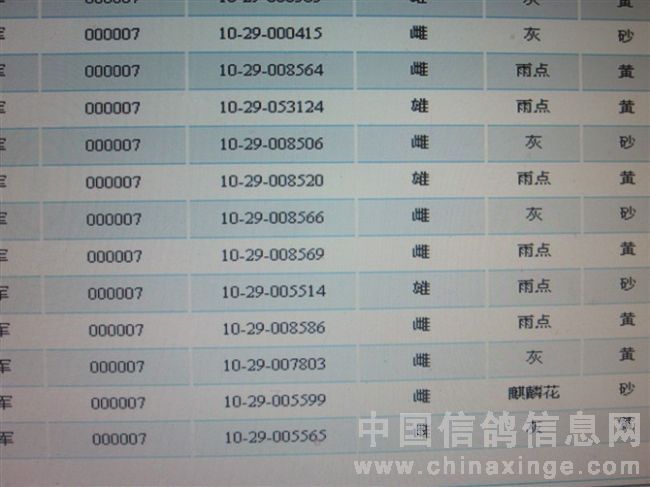 爱羽扫描鸽钟最新报价，高端鸽钟技术的价值与趋势探索