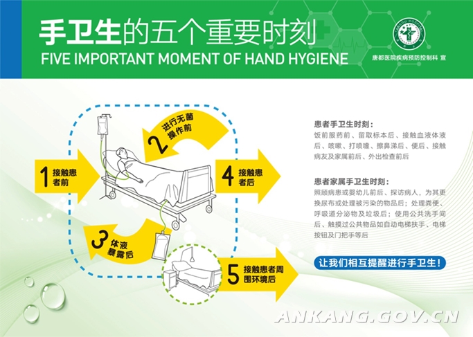 最新病毒防治策略，科学应对，共建健康防线