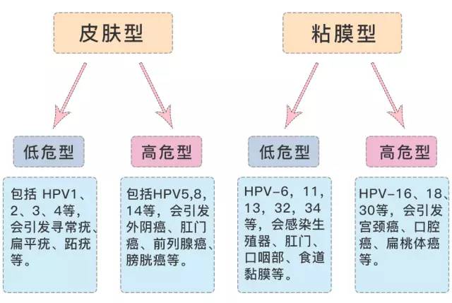 全球公共卫生里程碑，疫苗普及国家引领全球疫苗最新进展