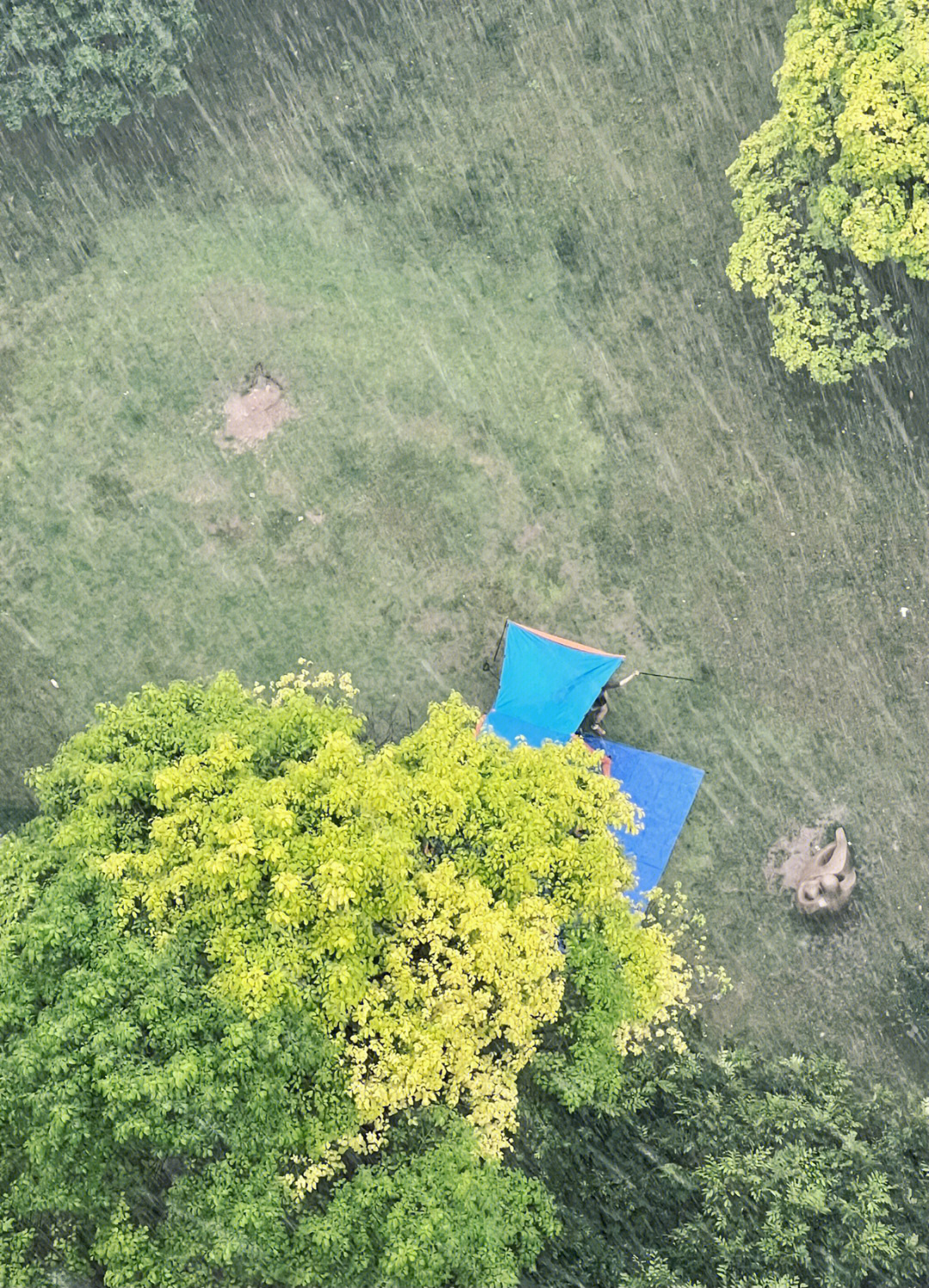 黄枫雨天的最新魅力与风情展示