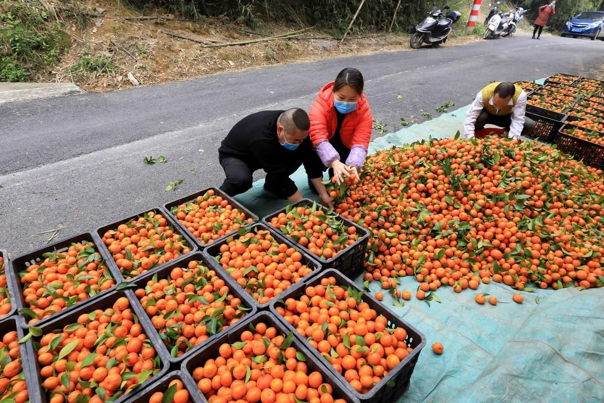 最新疫情下的三重挑战及应对策略