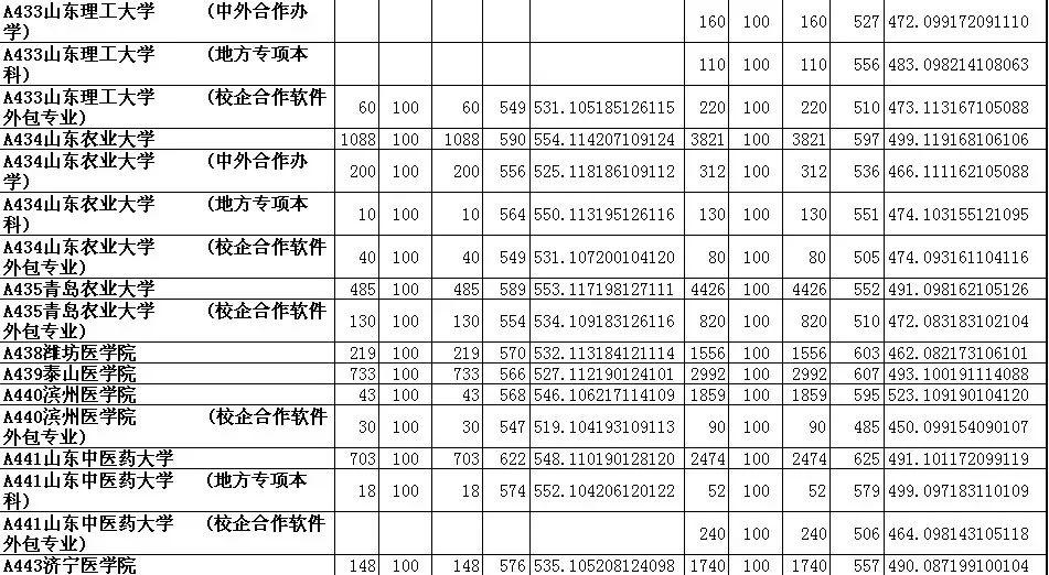 山东高考投档线最新动态分析与更新