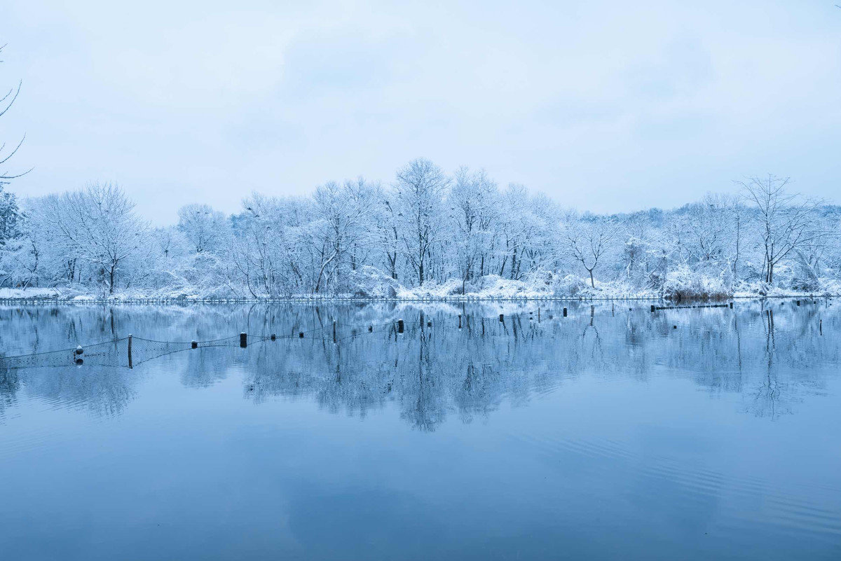 最新湖看雪，冬日邂逅的美丽画卷