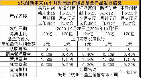 蚂蚁配售基金最新动态，深度解析及前景展望